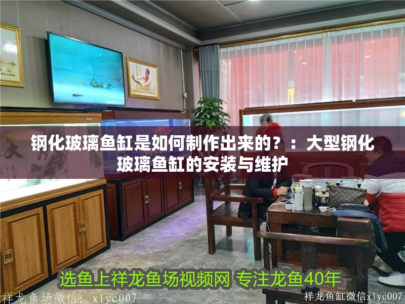 鋼化玻璃魚缸是如何制作出來的？：大型鋼化玻璃魚缸的安裝與維護 鋼化玻璃魚缸是如何制作出來的？：大型鋼化玻璃魚缸的安裝與維護 魚缸百科