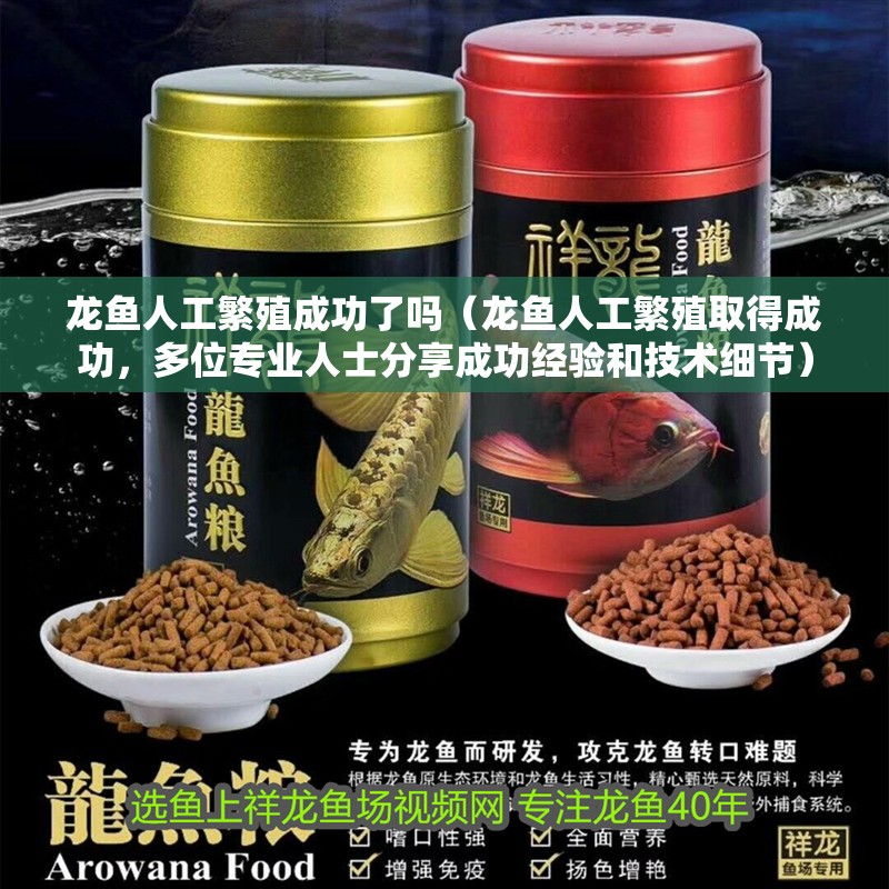 龍魚人工繁殖成功了嗎（龍魚人工繁殖取得成功，多位專業人士分享成功經驗和技術細節）