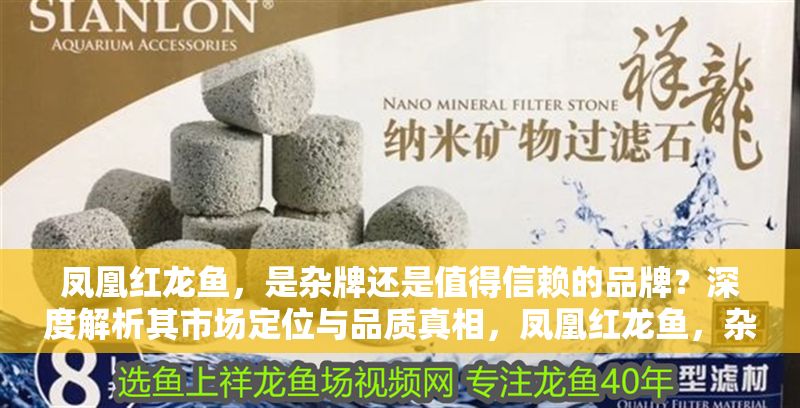 鳳凰紅龍魚，是雜牌還是值得信賴的品牌？深度解析其市場定位與品質真相，鳳凰紅龍魚，雜牌還是品質之選？揭秘其市場定位與真實品質 鳳凰紅龍魚，是雜牌還是值得信賴的品牌？深度解析其市場定位與品質真相，鳳凰紅龍魚，雜牌還是品質之選？揭秘其市場定位與真實品質 龍魚百科 第1張
