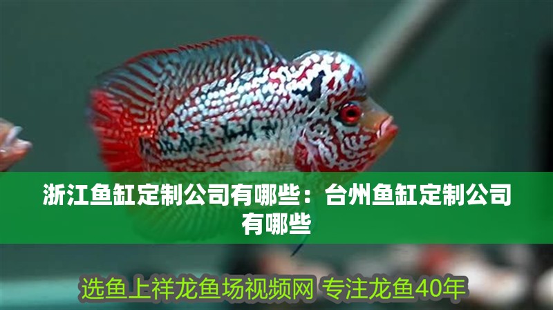 浙江魚缸定制公司有哪些：臺(tái)州魚缸定制公司有哪些