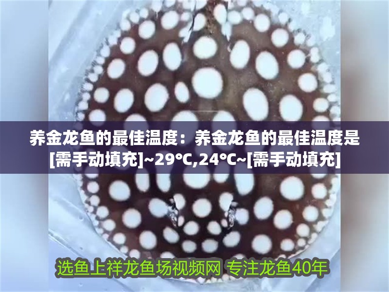 養金龍魚的最佳溫度：養金龍魚的最佳溫度是[需手動填充]~29℃,24℃~[需手動填充]