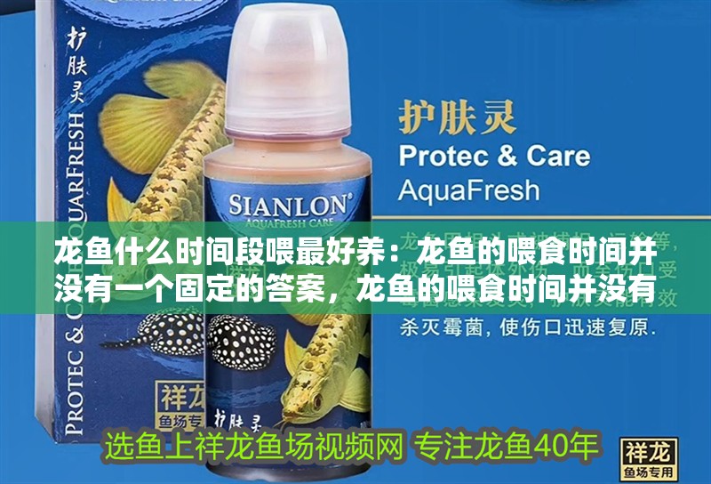 龍魚什么時(shí)間段喂最好養(yǎng)：龍魚的喂食時(shí)間并沒(méi)有一個(gè)固定的答案，龍魚的喂食時(shí)間并沒(méi)有固定的答案