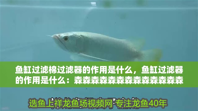 魚(yú)缸過(guò)濾棉過(guò)濾器的作用是什么，魚(yú)缸過(guò)濾器的作用是什么：森森森森森森森森森森森森森森森森森森森森森森森森森森森森森森