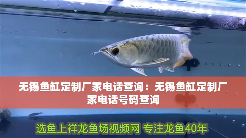 無錫魚缸定制廠家電話查詢：無錫魚缸定制廠家電話號碼查詢 無錫魚缸定制廠家電話查詢：無錫魚缸定制廠家電話號碼查詢 魚缸百科