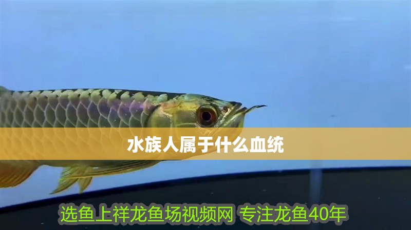 水族人屬于什么血統