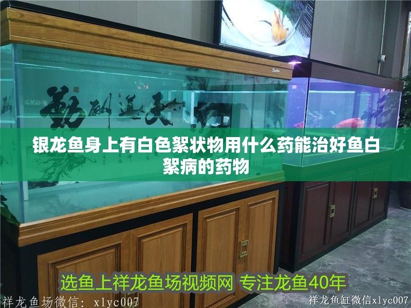 銀龍魚身上有白色絮狀物用什么藥能治好魚白絮病的藥物