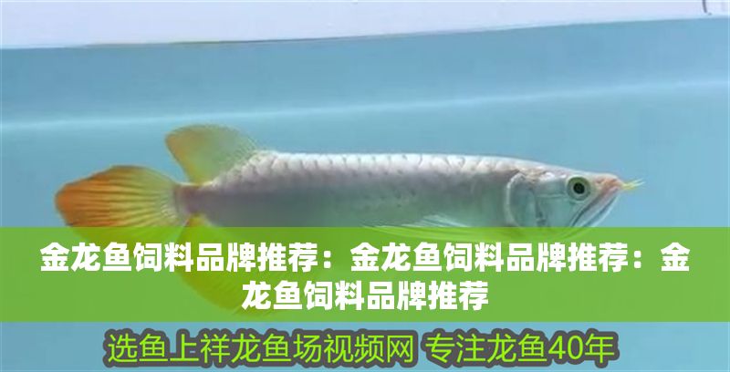 金龍魚飼料品牌推薦：金龍魚飼料品牌推薦：金龍魚飼料品牌推薦