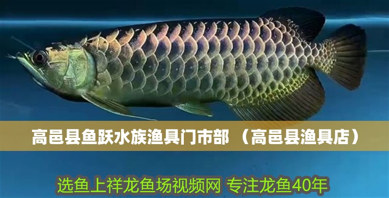 <strong><mark>高邑</mark></strong>縣魚躍水族漁具門市部 （<strong><mark>高邑</mark></strong>縣漁具店）