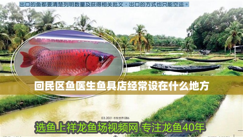 我的虎魚真菌感染了要怎么處理 回民區魚醫生魚具店經常設在什么地方 全國水族館企業名錄 回民區魚醫生魚具店經常設在什么地方 回民區魚醫生魚具店經常設在什么地方 全國水族館企業名錄