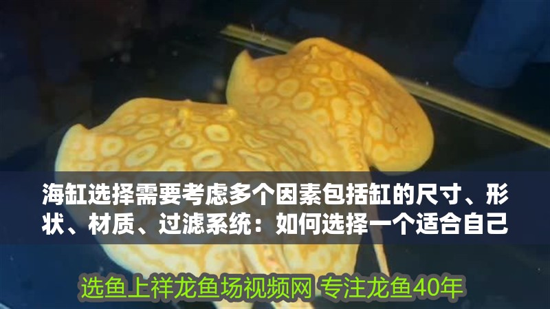 海缸選擇需要考慮多個因素包括缸的尺寸、形狀、材質、過濾系統：如何選擇一個適合自己的魚缸