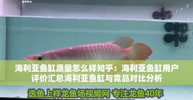 海利亞魚缸質量怎么樣知乎：海利亞魚缸用戶評價匯總海利亞魚缸與競品對比分析
