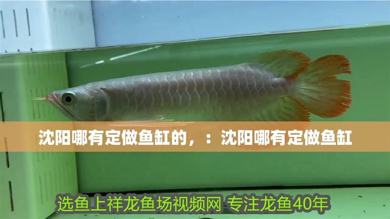 沈陽哪有定做魚缸的，：沈陽哪有定做魚缸