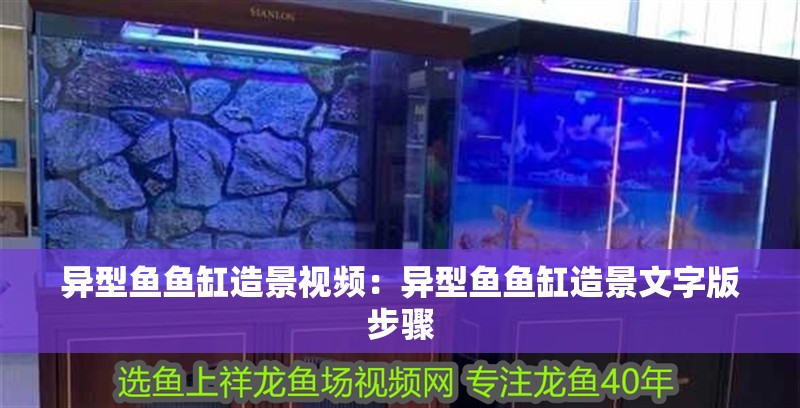 異型魚魚缸造景視頻：異型魚魚缸造景文字版步驟 異型魚魚缸造景視頻：異型魚魚缸造景文字版步驟 魚缸百科