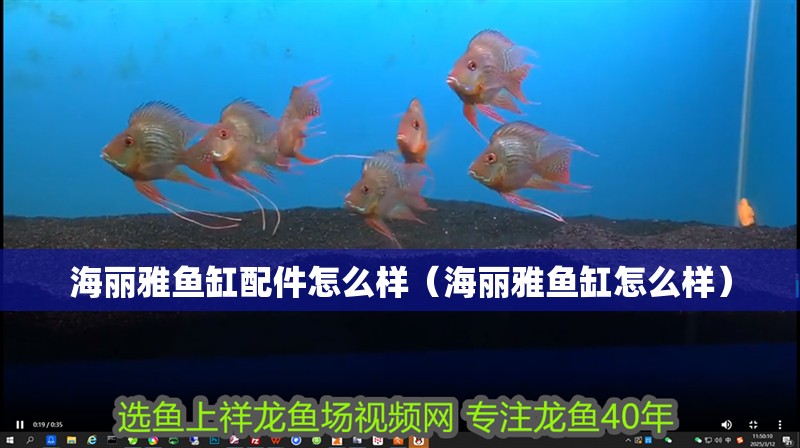 海麗雅魚缸配件怎么樣（海麗雅魚缸怎么樣） 海麗雅魚缸配件怎么樣（海麗雅魚缸怎么樣） 魚缸百科