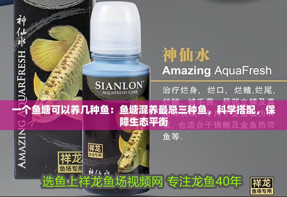 一個(gè)魚塘可以養(yǎng)幾種魚：魚塘混養(yǎng)最忌三種魚，科學(xué)搭配，保障生態(tài)平衡