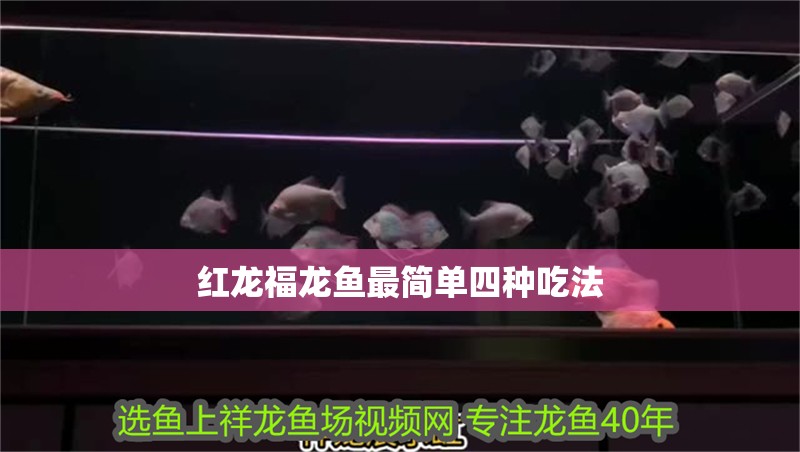 紅龍福龍魚最簡單四種吃法