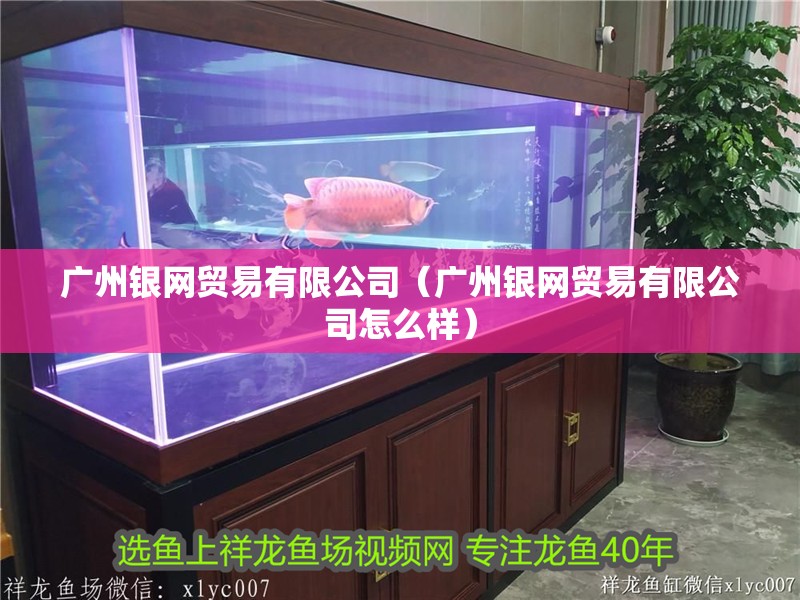 廣州銀網貿易有限公司（廣州銀網貿易有限公司怎么樣）