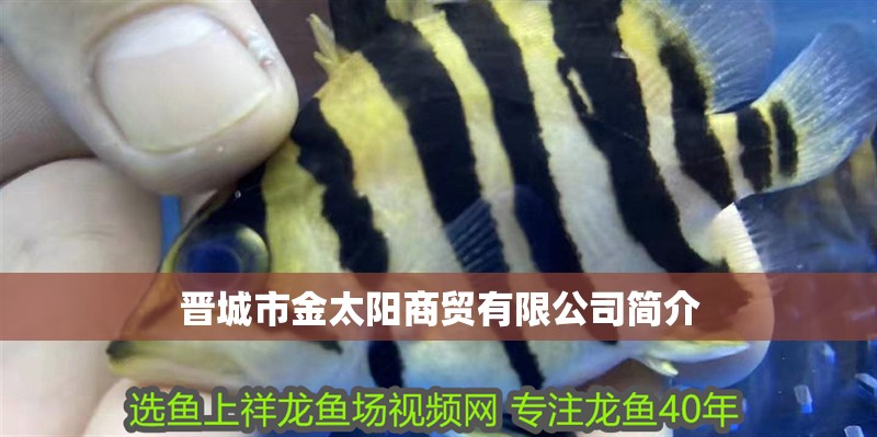 什么魚能和龍魚、虎魚混養(龍魚能和虎魚混養嗎) 晉城市金太陽商貿有限公司簡介 全國水族館企業名錄 晉城市金太陽商貿有限公司簡介 晉城市金太陽商貿有限公司簡介 全國水族館企業名錄