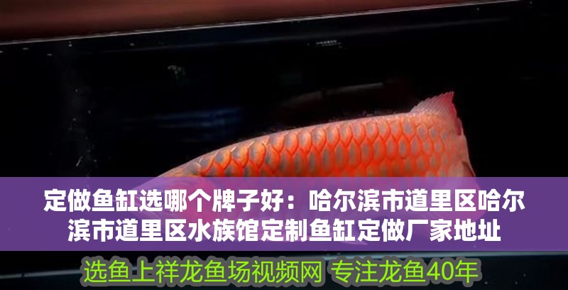 定做魚缸選哪個牌子好：哈爾濱市道里區哈爾濱市道里區水族館定制魚缸定做廠家地址
