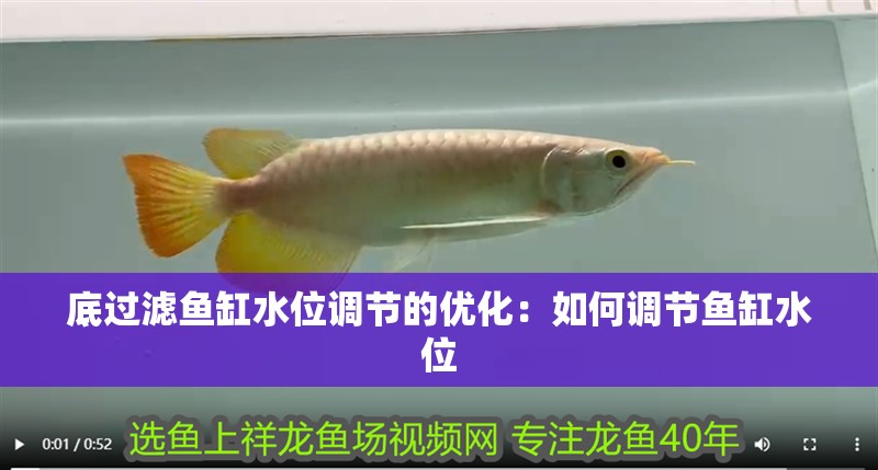 底過濾魚缸水位調節的優化：如何調節魚缸水位 底過濾魚缸水位調節的優化：如何調節魚缸水位 魚缸百科