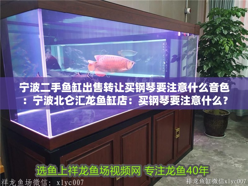 寧波二手魚缸出售轉(zhuǎn)讓買鋼琴要注意什么音色：寧波北侖匯龍魚缸店：買鋼琴要注意什么？