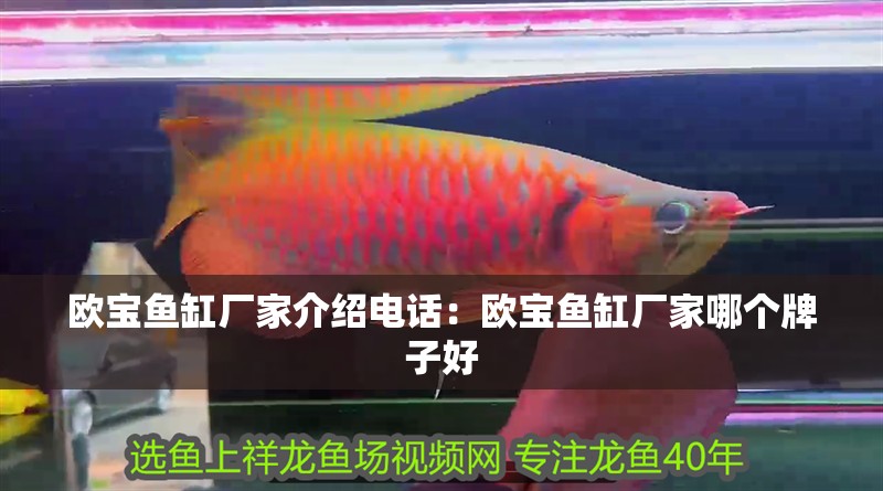 歐寶魚缸廠家介紹電話：歐寶魚缸廠家哪個(gè)牌子好