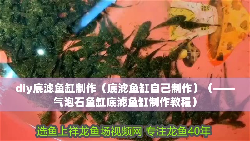 diy底濾魚缸制作（底濾魚缸自己制作）（——氣泡石魚缸底濾魚缸制作教程） diy底濾魚缸制作（底濾魚缸自己制作）（——氣泡石魚缸底濾魚缸制作教程） 魚缸百科