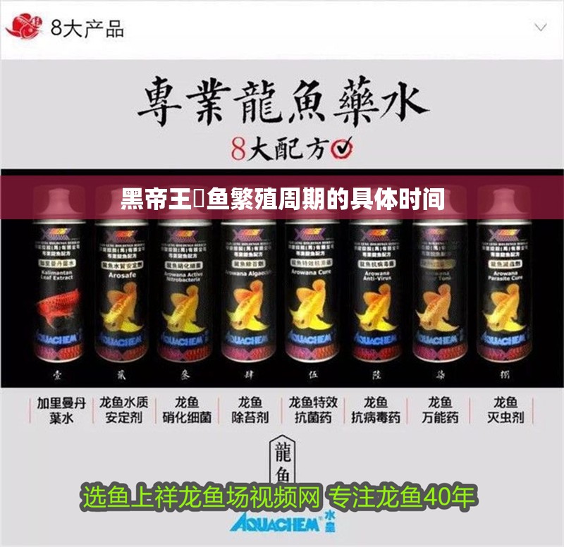 黑帝王魟魚繁殖周期的具體時間