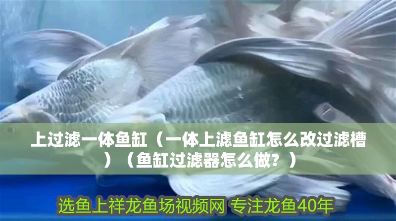 上過(guò)濾一體魚(yú)缸（一體上濾魚(yú)缸怎么改過(guò)濾槽）（魚(yú)缸過(guò)濾器怎么做？）