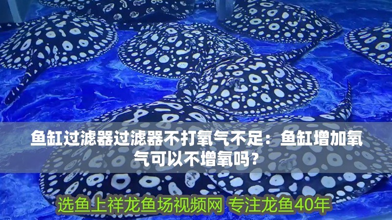 魚缸過濾器過濾器不打氧氣不足：魚缸增加氧氣可以不增氧嗎？ 魚缸過濾器過濾器不打氧氣不足：魚缸增加氧氣可以不增氧嗎？ 魚缸百科
