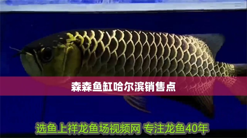 森森魚缸哈爾濱銷售點