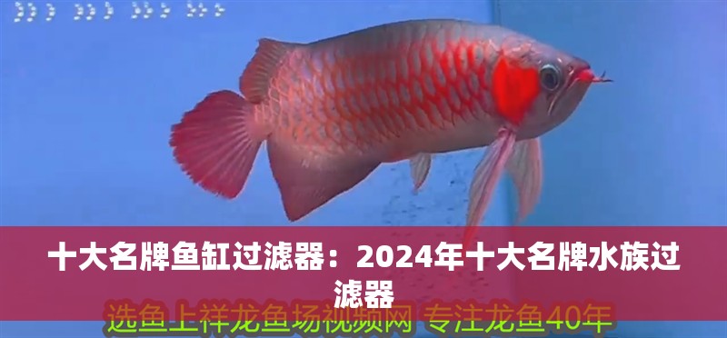 十大名牌魚缸過濾器：2024年十大名牌水族過濾器