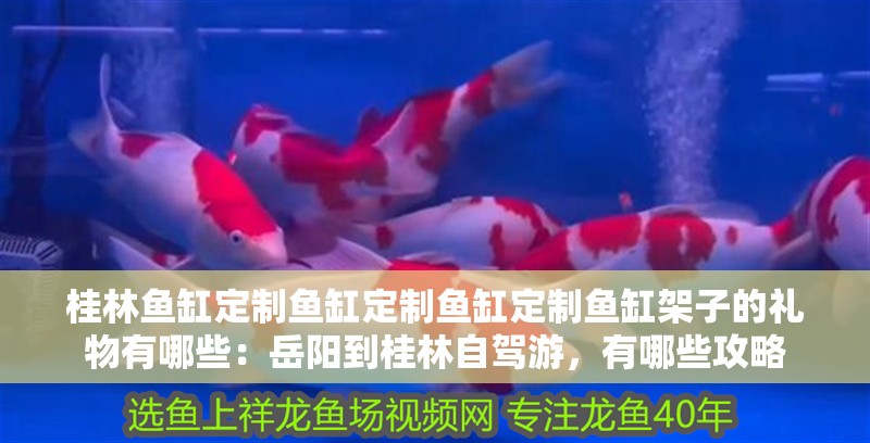 <strong><mark>桂林</mark></strong>魚缸定制魚缸定制魚缸定制魚缸架子的禮物有哪些：岳陽到<strong><mark>桂林</mark></strong>自駕游，有哪些攻略