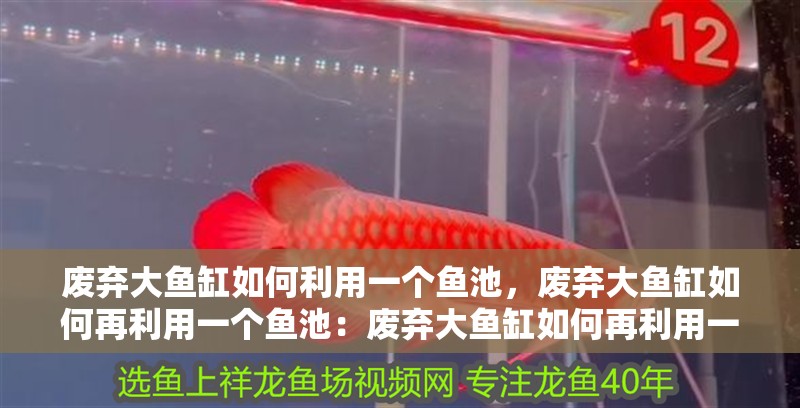 廢棄大魚缸如何利用一個(gè)魚池，廢棄大魚缸如何再利用一個(gè)魚池：廢棄大魚缸如何再利用一個(gè)魚池