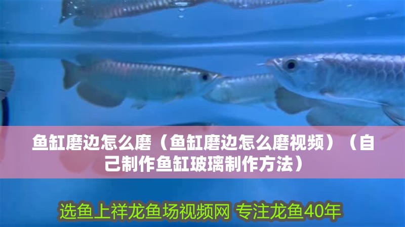魚(yú)缸磨邊怎么磨（魚(yú)缸磨邊怎么磨視頻）（自己制作魚(yú)缸玻璃制作方法） 魚(yú)缸磨邊怎么磨（魚(yú)缸磨邊怎么磨視頻）（自己制作魚(yú)缸玻璃制作方法） 魚(yú)缸百科