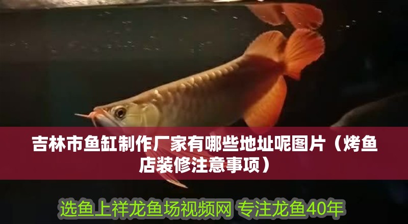 吉林市魚缸制作廠家有哪些地址呢圖片（烤魚店裝修注意事項）