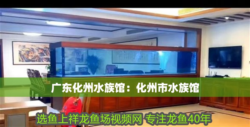 廣東化州水族館：化州市水族館