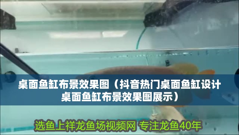 桌面魚缸布景效果圖（抖音熱門桌面魚缸設計桌面魚缸布景效果圖展示）