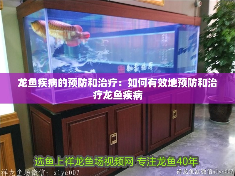 龍魚疾病的預防和治療：如何有效地預防和治療龍魚疾病