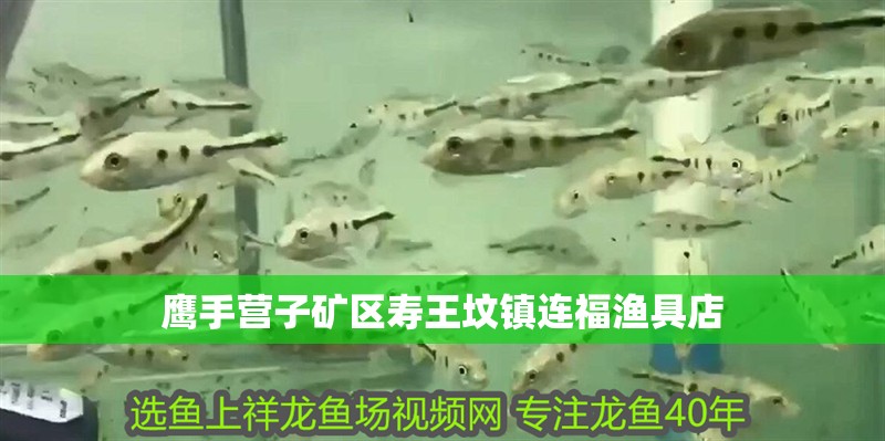 鷹手營子礦區壽王墳鎮連福漁具店 全國水族館企業名錄 鷹手營子礦區壽王墳鎮連福漁具店 鷹手營子礦區壽王墳鎮連福漁具店 全國水族館企業名錄