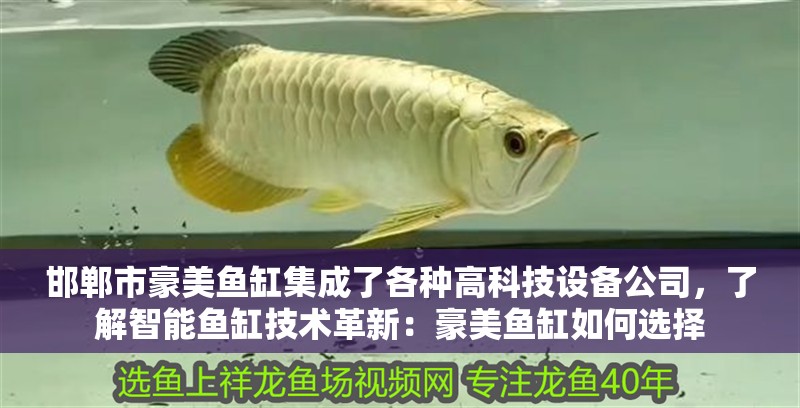 邯鄲市豪美魚缸集成了各種高科技設備公司，了解智能魚缸技術革新：豪美魚缸如何選擇