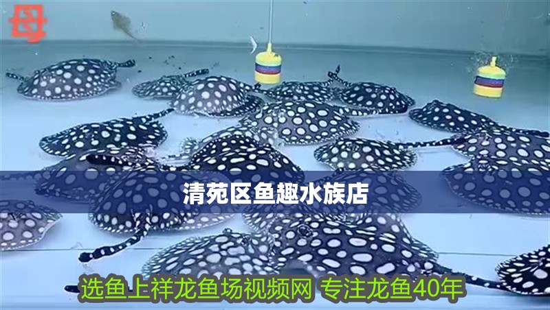 清苑區(qū)魚趣水族店