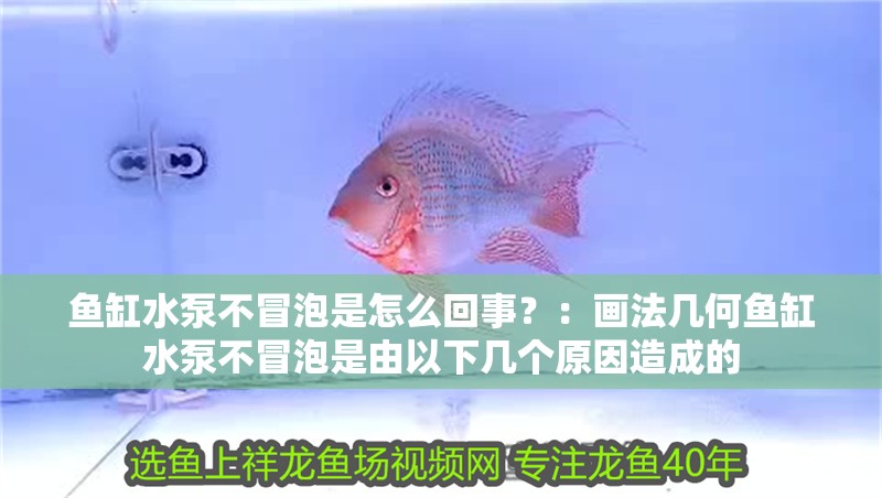 魚缸水泵不冒泡是怎么回事？：畫法幾何魚缸水泵不冒泡是由以下幾個原因造成的