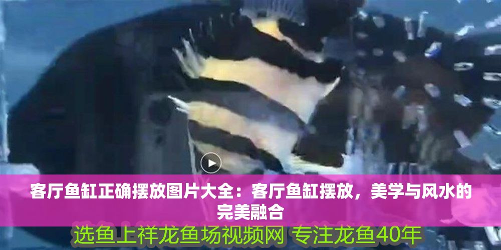 客廳魚缸正確擺放圖片大全：客廳魚缸擺放，美學與風水的完美融合