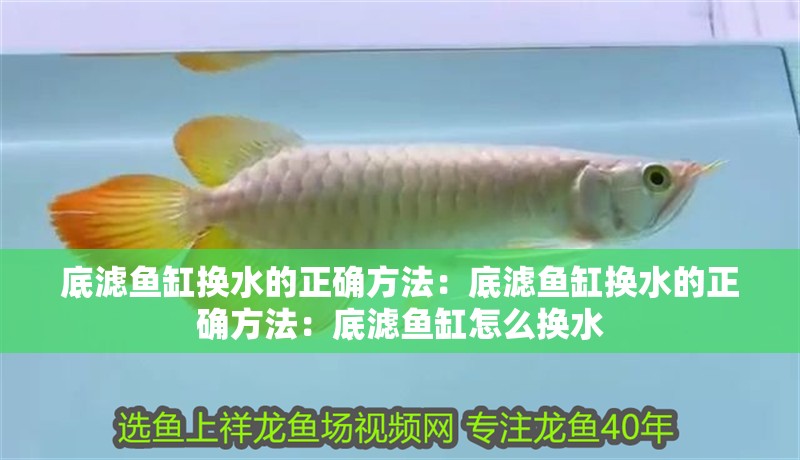 給大魚缸換水的作文:體驗給大魚缸換水的樂趣:體驗給大魚缸換水:給大魚缸換水的作文 底濾魚缸換水的正確方法:底濾魚缸換水的正確方法:底濾魚缸怎么換水 魚缸百科 底濾魚缸換水的正確方法:底濾魚缸換水的正確方法:底濾魚缸怎么換水 底濾魚缸換水的正確方法:底濾魚缸換水的正確方法:底濾魚缸怎么換水 魚缸百科