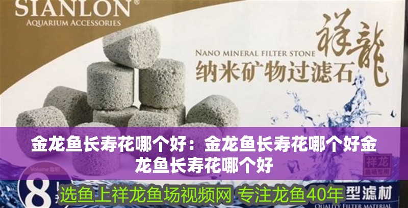 金龍魚長壽花哪個好：金龍魚長壽花哪個好金龍魚長壽花哪個好 金龍魚長壽花哪個好：金龍魚長壽花哪個好金龍魚長壽花哪個好 龍魚百科