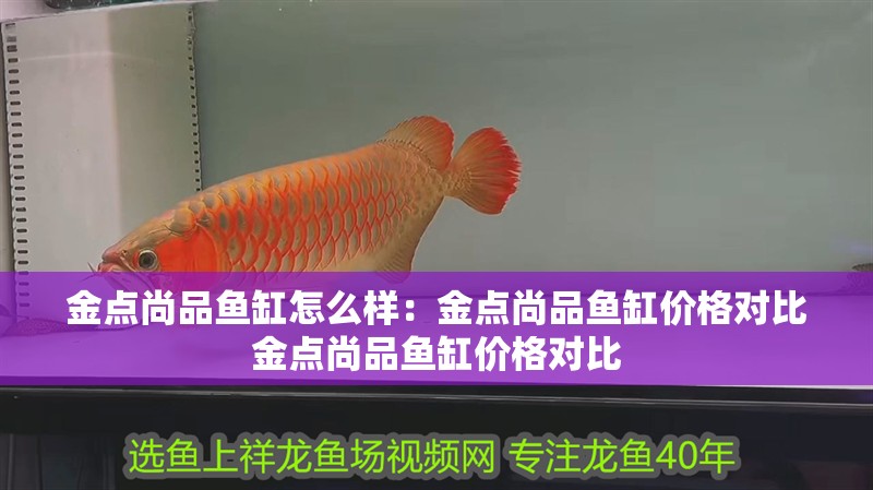 金點尚品魚缸怎么樣：金點尚品魚缸價格對比金點尚品魚缸價格對比