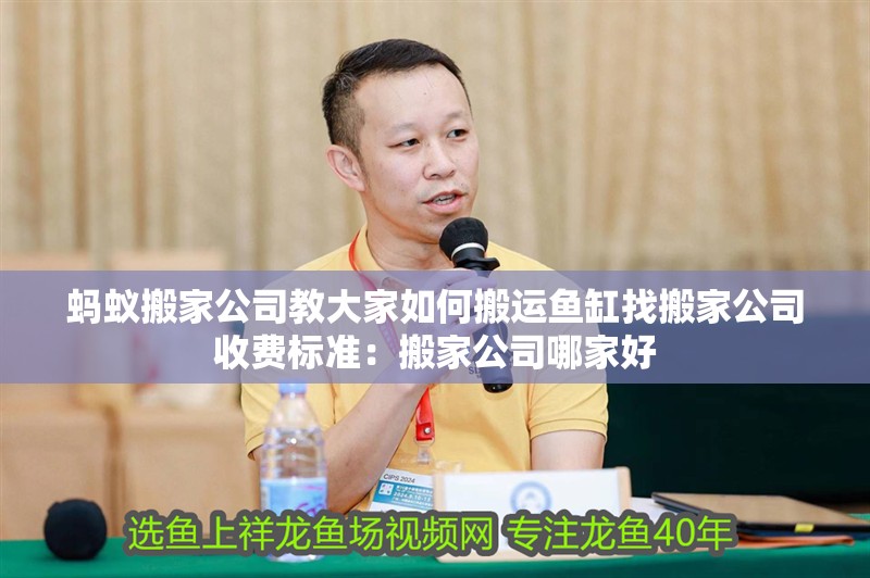 螞蟻搬家公司教大家如何搬運魚缸找搬家公司收費標準：搬家公司哪家好 螞蟻搬家公司教大家如何搬運魚缸找搬家公司收費標準：搬家公司哪家好 魚缸百科