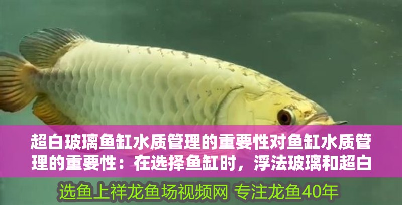 超白玻璃魚(yú)缸水質(zhì)管理的重要性對(duì)魚(yú)缸水質(zhì)管理的重要性：在選擇魚(yú)缸時(shí)，浮法玻璃和超白玻璃對(duì)水質(zhì)的影響