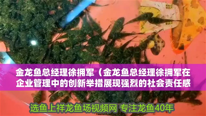 金龍魚總經理徐擁軍（金龍魚總經理徐擁軍在企業管理中的創新舉措展現強烈的社會責任感）